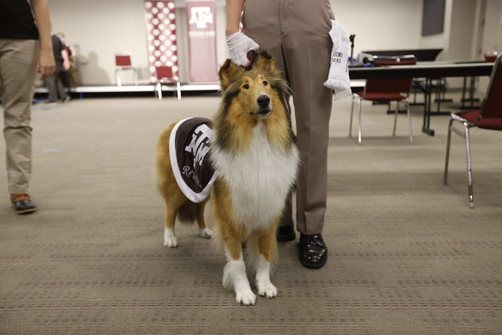 Reveille X